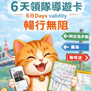 6天旅遊翻譯卡 拍照翻譯